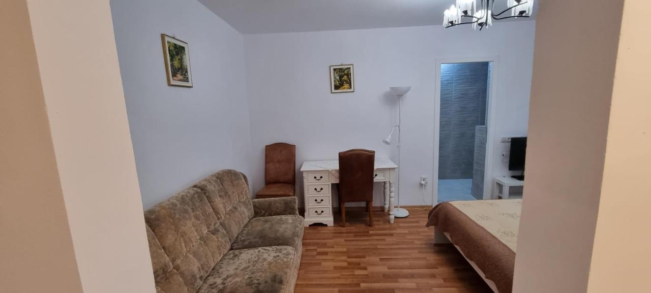 Apartament Studio Roco Kluż-Napoka Zewnętrze zdjęcie