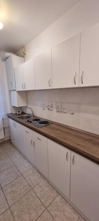 Apartament Studio Roco Kluż-Napoka Zewnętrze zdjęcie